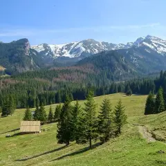 Piękne szlaki w Zakopanem prowadzą przez zielone hale i lasy do ośnieżonych szczytów Tatr.