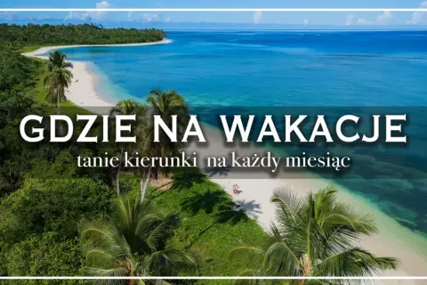 Rajska plaża z palmami i turkusową wodą. Idealne miejsce na wakacje, gdzie znajdziesz tanie kierunki na każdy miesiąc.