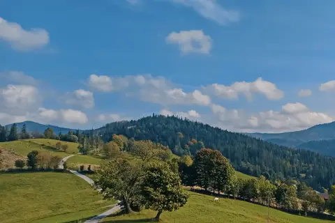 Zielony krajobraz Beskidów z krętą drogą, drzewami i lasem. To jedne z najpiękniejszych szlaków w Beskidach.