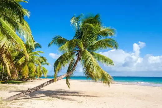 Madagaskar - Pora deszczowa. Kiedy jechać, by uniknąć ulew?