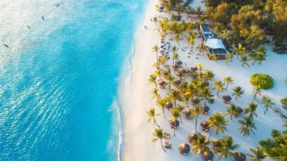 Zanzibar w grudniu - Czy to dobry pomysł? Pogoda i porady